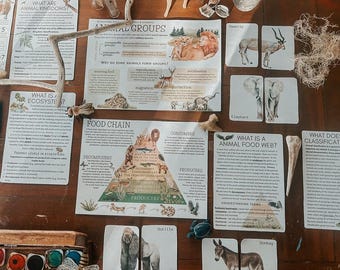 Animal classification study worksheets for kids - pdf printable Montessori Science, Biology Learning Pages (digital download)