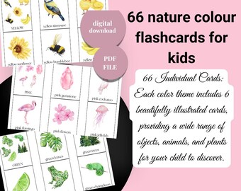 Nature Color Flashcards for kids - Educational Preschool Printable - Classroom Playroom Decor - Montessori Nature Flashcards - Pdf