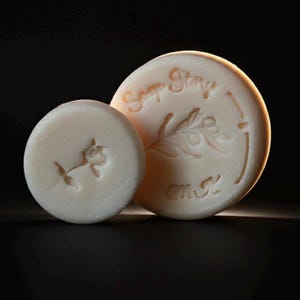 Shampoo - conditioner with probiotic and liposomal complex