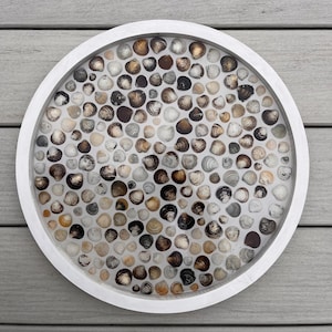 Hand Made Hamptons Shell Epoxy Hanging