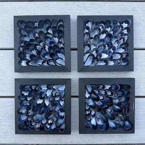 Könnte beinhalten: Vier quadratische Wandkunstwerke mit Rahmen. Jedes Stück zeigt eine Sammlung dunkelblauer Muschelschalen, die in einem dekorativen Muster angeordnet sind. Die Rahmen sind dunkelgrau lackiert und bilden ein zusammenhängendes Set. Die Schalen haben einen perlmuttartigen Glanz.