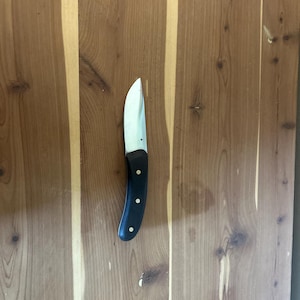 Steak knife