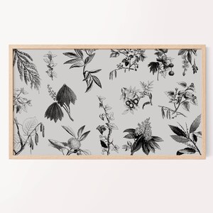 Puede incluir: Una impresión enmarcada con una ilustración botánica en blanco y negro de varias plantas y flores sobre un fondo gris claro.