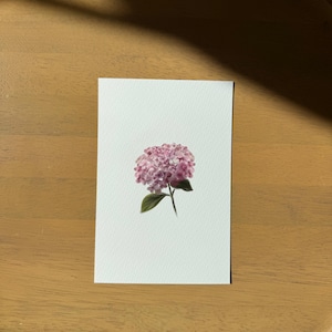 May include: A watercolor painting of a pink hydrangea flower on a white rectangular card. The flower has a full, rounded shape with many small petals. The card is centered on a wooden tray.