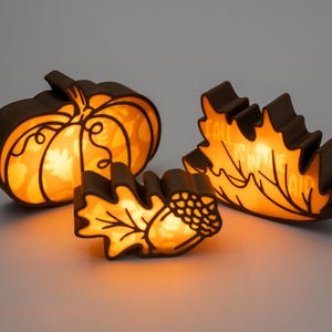 Pode incluir: Três decorações de outono iluminadas: uma abóbora, uma bolota e uma folha. As decorações são castanhas com luz laranja que emana do interior. A abóbora e a folha têm detalhes de linha intrincados. A bolota está no centro.