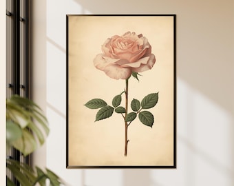 Pink Rose Botanical Print Vintage Floral Illustration Antique Garden Artwork Classic Bloom Wall Decor