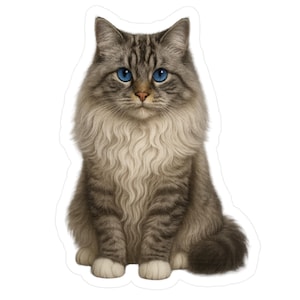 Cute Ragdoll Cat Sticker, Ragdoll Cat Gift Cat Lover Decal, Pet Sticker, Laptop Sticker, Water Bottle Sticker, Water Resistant, Cat Decal