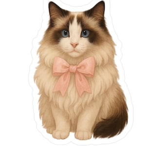 Cute Ragdoll Cat Vinyl Water Resistant Sticker, Indoor Outdoor  Pet Sticker, Laptop Sticker, Water Bottle Decal, Cat Lover Sticker Gift