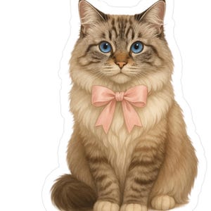 Cute Seal Lynx Ragdoll Cat Vinyl Water Resistant Sticker, Ragdoll Cat Gift, Indoor Outdoor Pet Sticker, Laptop Sticker, Water Bottle Decal
