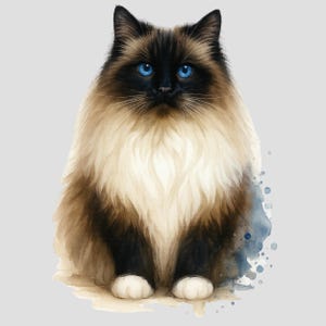Cute Ragdoll Cat Sticker, Ragdoll Cat Gift,  Cat Person Decal, Pet Sticker, Laptop Sticker, Water Bottle Sticker, Water Resistant