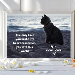 Personalized Cat Memorial Print, Pet Loss Gifts, Custom Pet Tribute Print, Cat Sympathy Gift, Rainbow Bridge Gift, Cat Owner Grieving Gift,