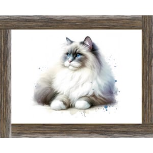 Gepersonaliseerde Blue Point Ragdoll-kunst, aquarel kattenafdruk, Ragdoll Cat cadeau, kattenliefhebber kunst, gicléeprint, ragdoll katteneigenaren, kattenliefhebbers kunst