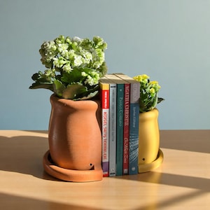 Puede incluir: Una maceta de cerámica color terracota y una maceta de cerámica amarilla más pequeña que actúan como sujetalibros para cuatro libros. La maceta de terracota contiene una planta verde con flores y la amarilla una planta más pequeña.