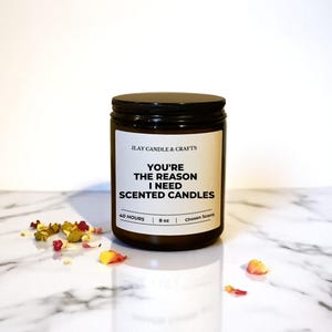 You’re the Reason I Need Scented Candles” | Funny Romantic Candle Gift | Soy Candle for Couples | Cheeky Gift for Him or Her | 8 oz Soy Wax