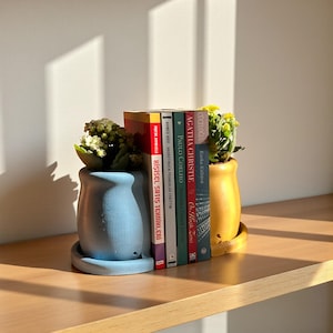 Peut inclure: Un pot en céramique bleu avec une petite plante et une pile de livres. Les livres sont de différentes couleurs et ont des titres dans différentes langues. Un pot en céramique jaune avec une plante est également visible.