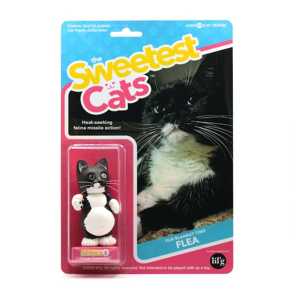 Custom Cat Figure - Handcrafted One-Of-A-Kind - Series 1 "Treat Tummies"
