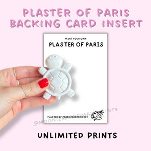 May include: A white plaster of Paris turtle figurine held against a rectangular white backing card. The card features the text PAINT YOUR OWN PLASTER OF PARIS and PLASTER OF PARIS PAINTING KIT with a small black icon of a paint palette.