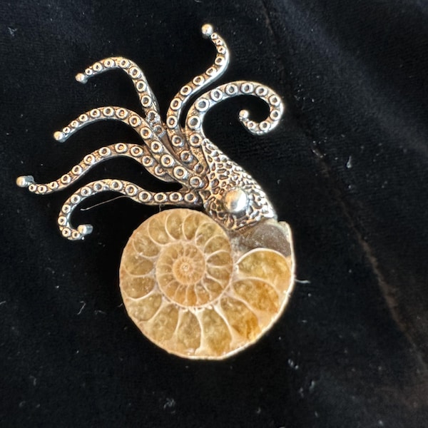Octopus Ammonite Fossil Brooch – Steampunk Nautical Sea Jewelry -Nautiloid Fossils - Gift Boxed