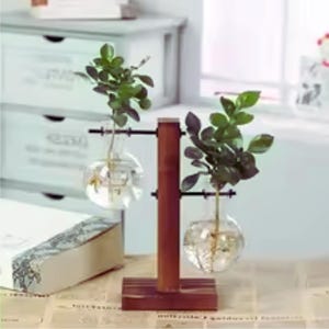 Glasvase Pflanzgefäß mit Holzständer - Transparente Hydrokultur-Vase für Tabletop-Pflanzendekor oder Vermehrung