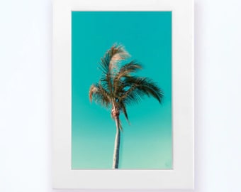 Wall Art Postcard Palm Tree Tropical Views of Mexico Travel Photography Puerto Vallarta Home Decor