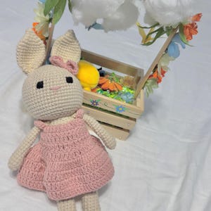 Handmade Crochet Bunny Dolls - Personalized Amigurumi Plush Toy - Soft Stuffed Bunny for Birthday Gift, Baby Showers, Gift for New Born Baby