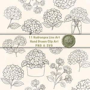 May include: A collection of 11 black and white hydrangea line art illustrations featuring various floral arrangements, including flowers in a glass jar and a pot, with the text 11 Hydrangea Line Art Hand Drawn Clip Art PNG & SVG.