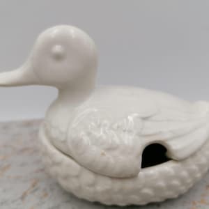 Pode incluir: Uma figura de pato de cerâmica branca com um corpo texturizado e detalhado e um bico liso e curvo. O pato tem uma pequena abertura nas costas, sugerindo que pode ser um recipiente ou uma peça decorativa. O design geral é simples e elegante.