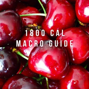 1800 Calorie Macro Guide