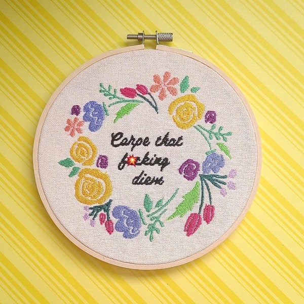 Carpe Diem Embroidery Hoop, Seize the day Embroidery, Motivational Embroidery Hoop, Finished Embroidery Hoop, Funny embroider, cross stitch