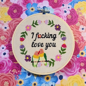I f*cking love you, i love you embroidery hoop, finished embroidery hoop, funny embroidery, rude embroidery, swear embroidery, love bird art