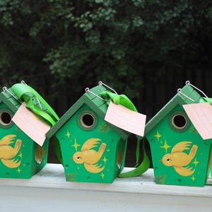 Magical Wren Birdhouse, Hand Painted, Cottagecore, Enchanted Garden, Nest Box, House Wren Birdhouse, Cedar