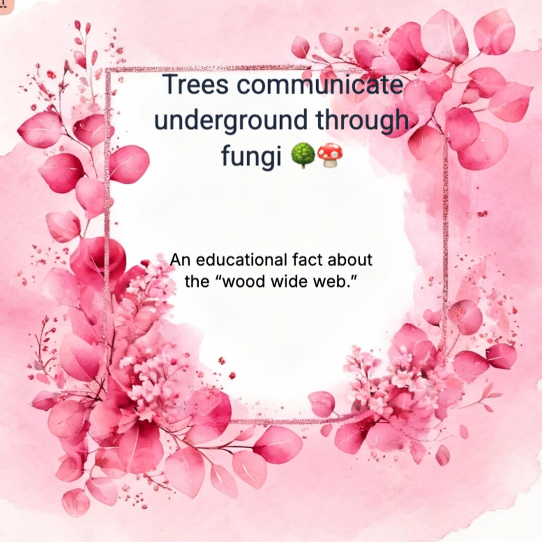 300 Square Social Media Posts - Blush Petals, Pink Hues, Inspirational ...