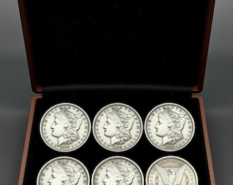 Set di ristampa di dollari d'argento Morgan di Carson City (13 pezzi)