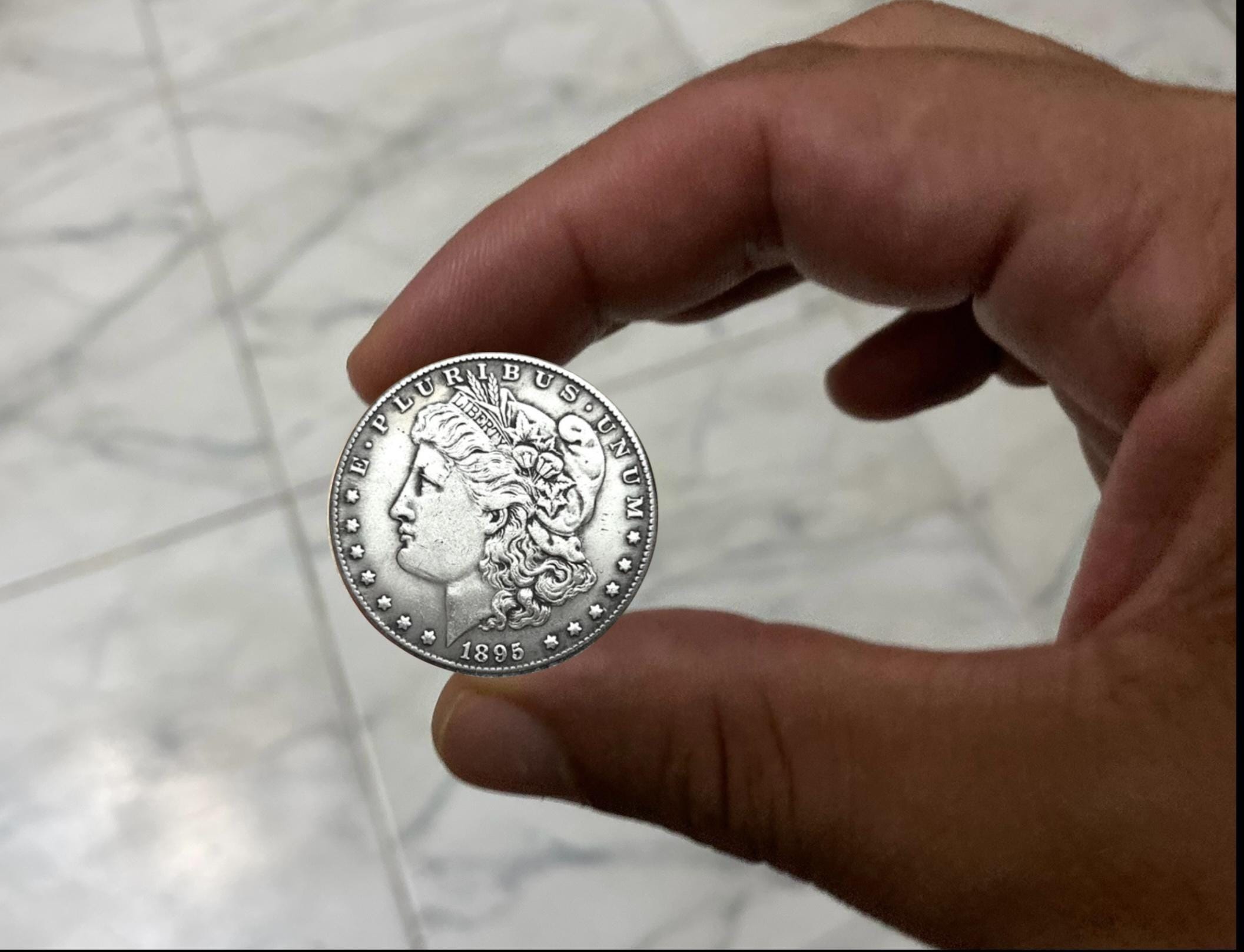 1895 morgan silver dollar - Etsy 日本