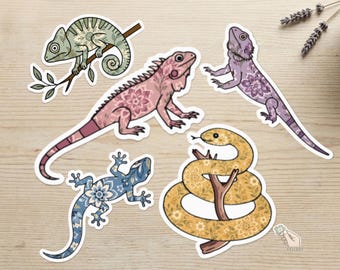 Pflanzlicher Reptilien-Vinylaufkleber, fünf Designs und zwei Größen, Chamäleon, Gecko, Bartagame, Leguan & Schlange