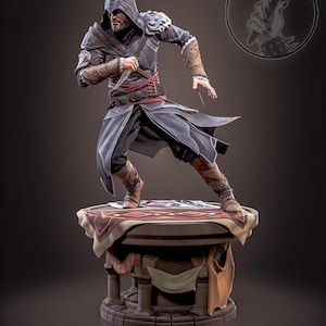 Assasin | Maximum Detailed 3d 12k Resin Printed Figure