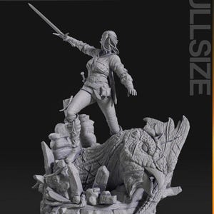 Witch Killer | Maximum Detailed 3d 12k Resin Printed Figure