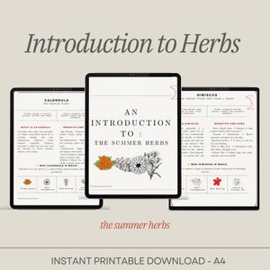 Informatiebladen zomerkruiden – 6 afdrukbare gidsen voor natuurlijke genezing • Cheatsheets voor seizoensgebonden plantengeneesmiddelen • Herbalist Wellness-mappagina's