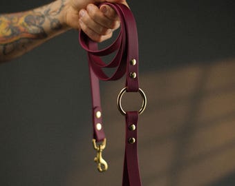 Correa para perros BioThane / Color vino / Correa de cuero vegano impermeable / Latón macizo, acabado artesanal de lujo