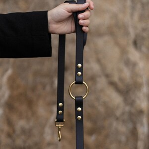BioThane Waterproof Dog Leash: Black Vegan Leather with Solid Brass