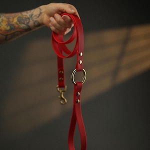 Fiery Red Waterproof BioThane Dog Leash: Solid Brass Hardware, Luxury Handmade