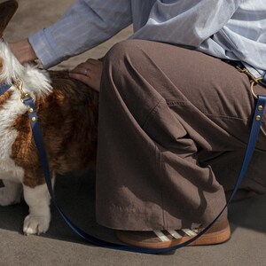 以下が含まれることがあります： 茶色と白のコーギー犬が、ネイビーブルーの首輪とリードを着用しています。 リードにはゴールドカラーの金具が付いています。 茶色のズボンと水色のシャツを着た人が犬をなでています。
