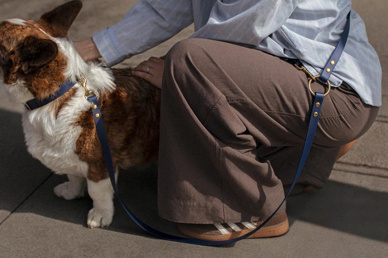以下が含まれることがあります： 茶色と白のコーギー犬が、ネイビーブルーの首輪とリードを着用しています。 リードにはゴールドカラーの金具が付いています。 茶色のズボンと水色のシャツを着た人が犬をなでています。