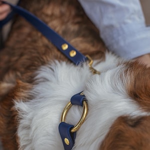 以下が含まれることがあります： ゴールドの金具が付いた、ネイビーブルーの革製犬用首輪とリードのセット。 首輪には大きなゴールドリングが付いており、お揃いのリードに繋がっています。 犬の毛並みは白と茶色です。