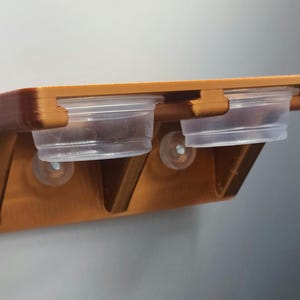 NON-SPILL  LEDGE  Crested Gecko Food Bowl Ledge with Suction cups and 4 (1/2 oz) bowls.