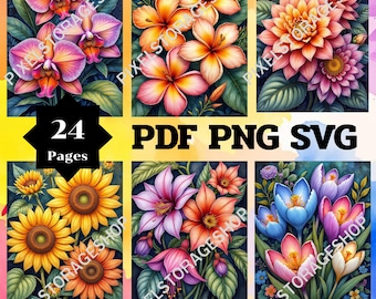 Color by number, 24 pages, 24 colors, For adults, Printable, A3, PDF, PNG, SVG File, Digital, Instant Download, Paint by numbers
