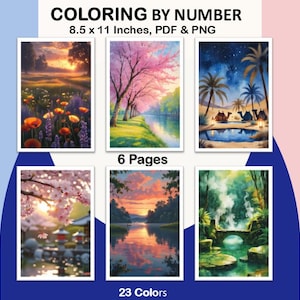 Coloring page by number, Landscape coloring 6 pages, 23 Colors, Printable, Instant Download, 8.5 x 11 Inches, PDF, PNG File, Paint by number