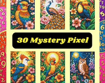 Color by number, Mystery Pixel, Square shape, 30 pages, 24 Colors, Adults, Printable, A4, PNG, PDF, Light & Dark, Digital, Instant Download
