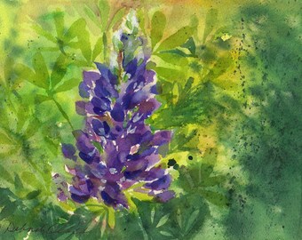 Texas Bluebonnet, Watercolor Original, State Flower, Purple