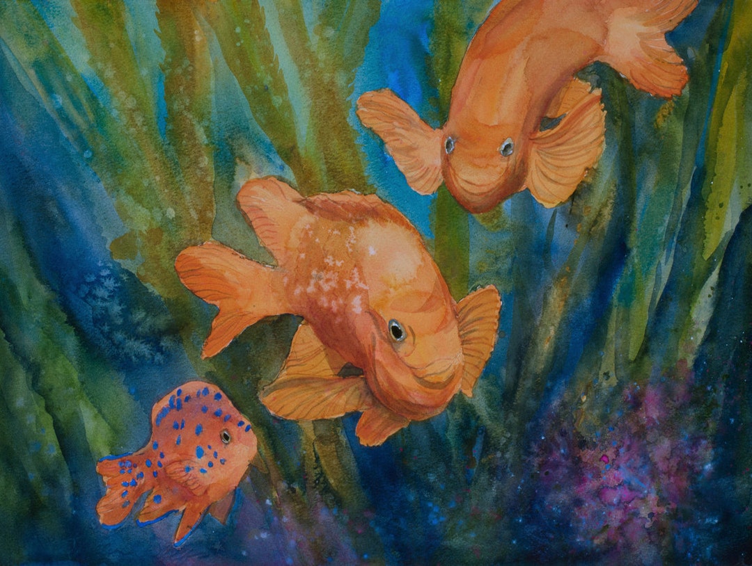 Garibaldi Family, Watercolor Print, Fish, Ocean, Sea, Marine-life ...